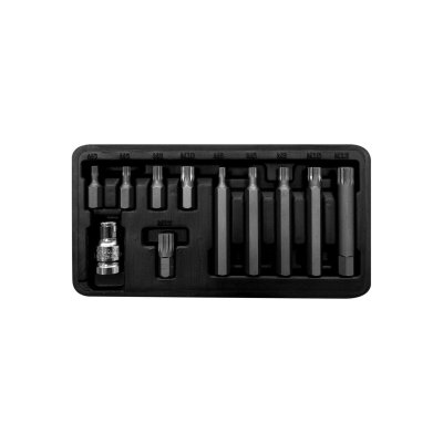 BIT SET 11PCS, 10MM, XZN M5-M12, L30/75MM, PROLINE